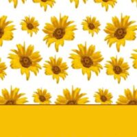 Sunflower notebook