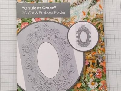 USED: Opulent Grace 2D Cut & Emboss Folder